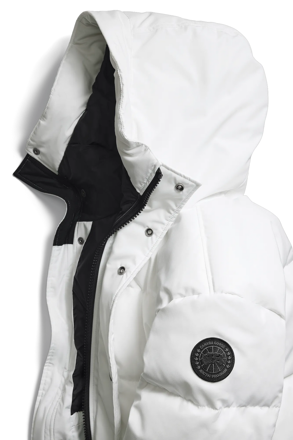 OPTIC WHITE