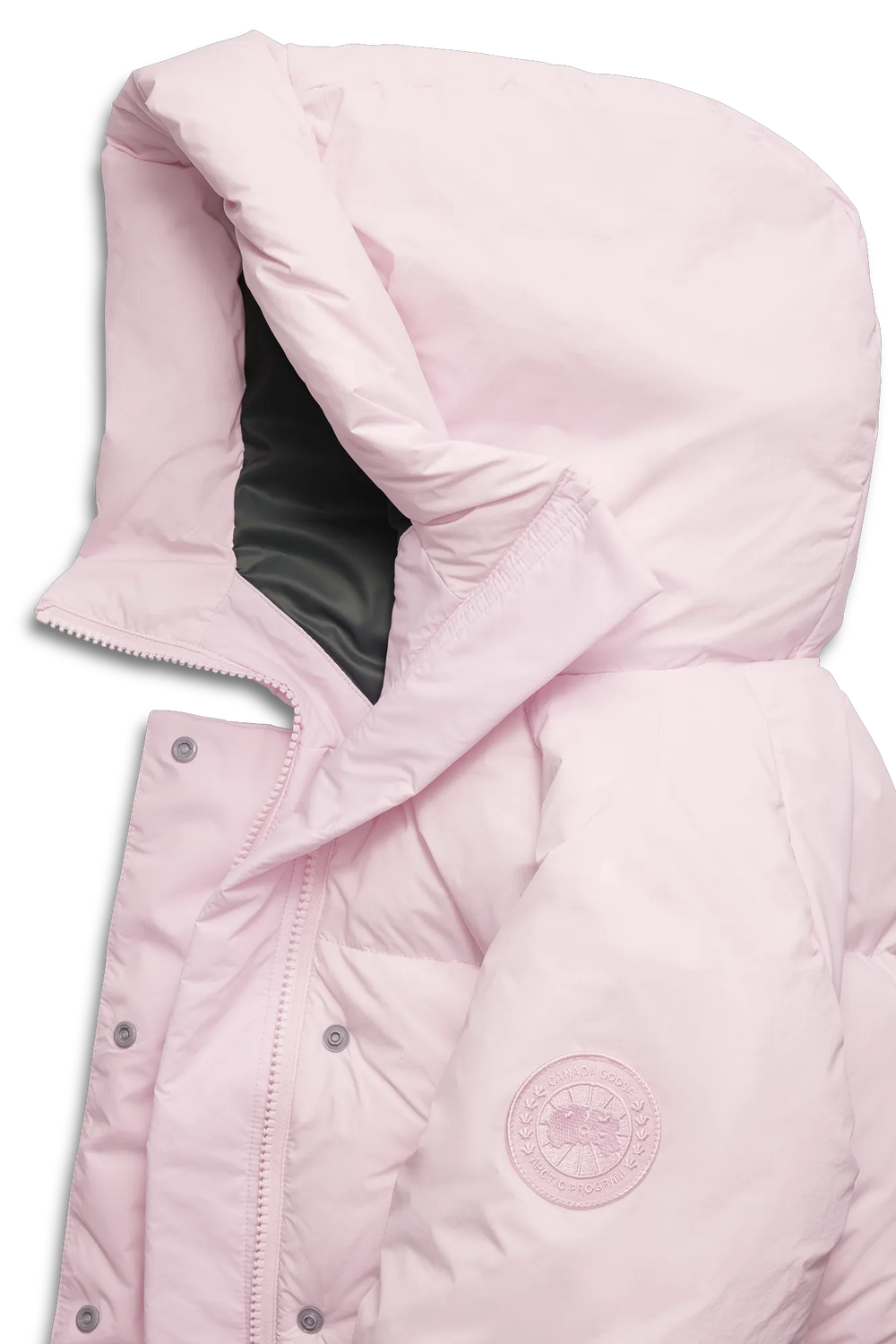 BLOOM PINK