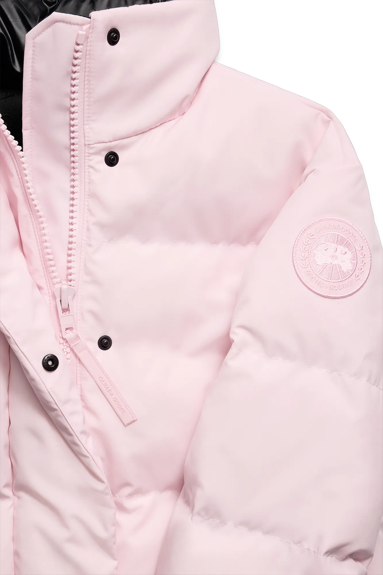 BLOOM PINK