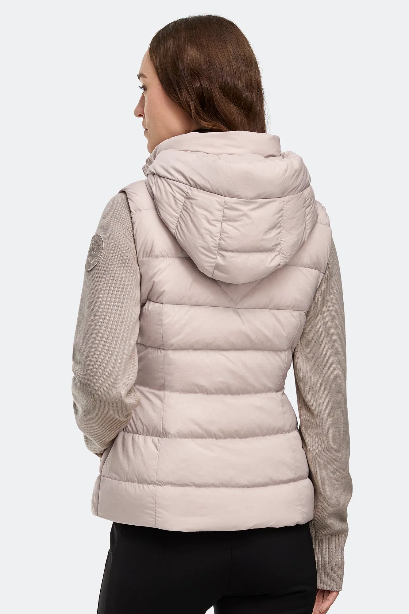 Lucent Rose
