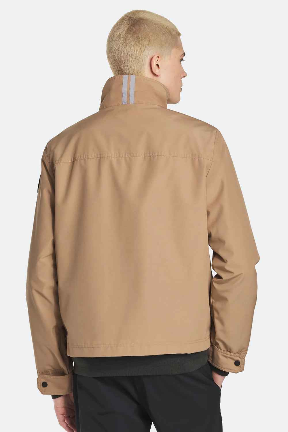 Desert Sand
