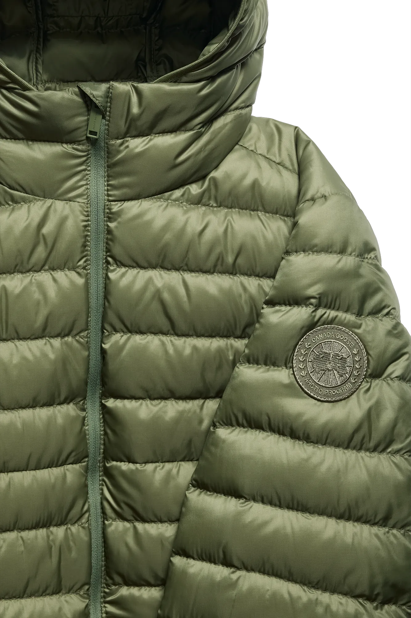VIREO GREEN