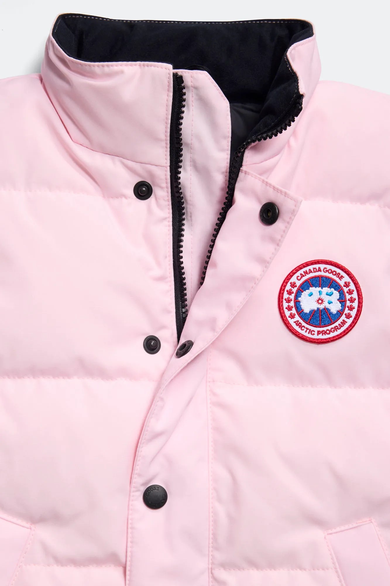 BLOOM PINK
