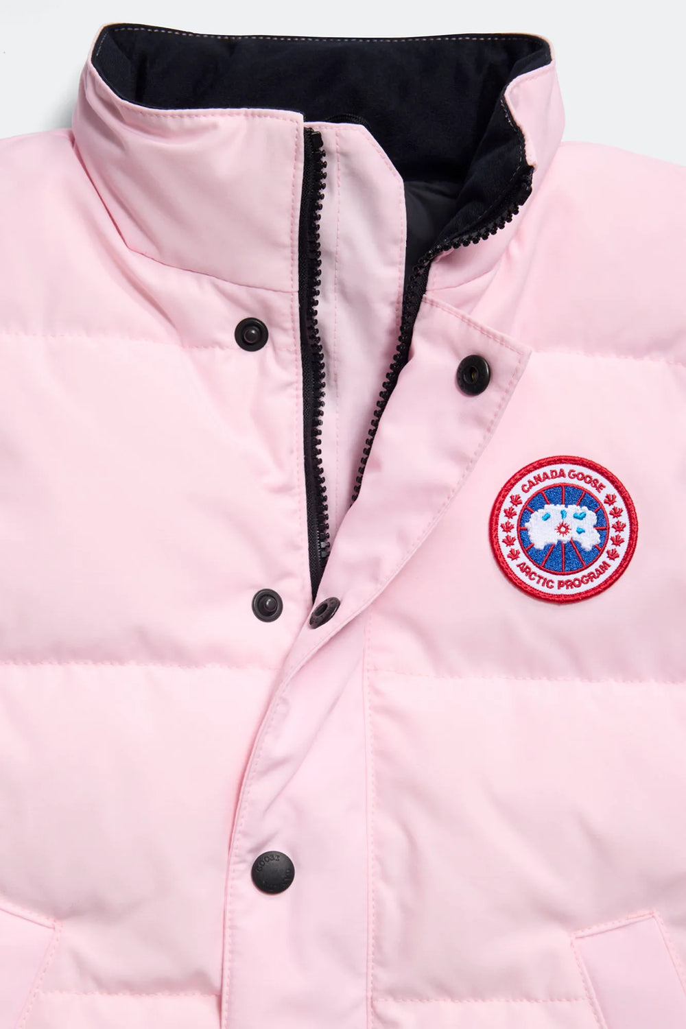 BLOOM PINK
