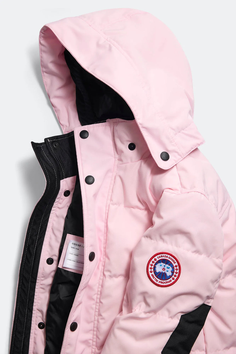 BLOOM PINK