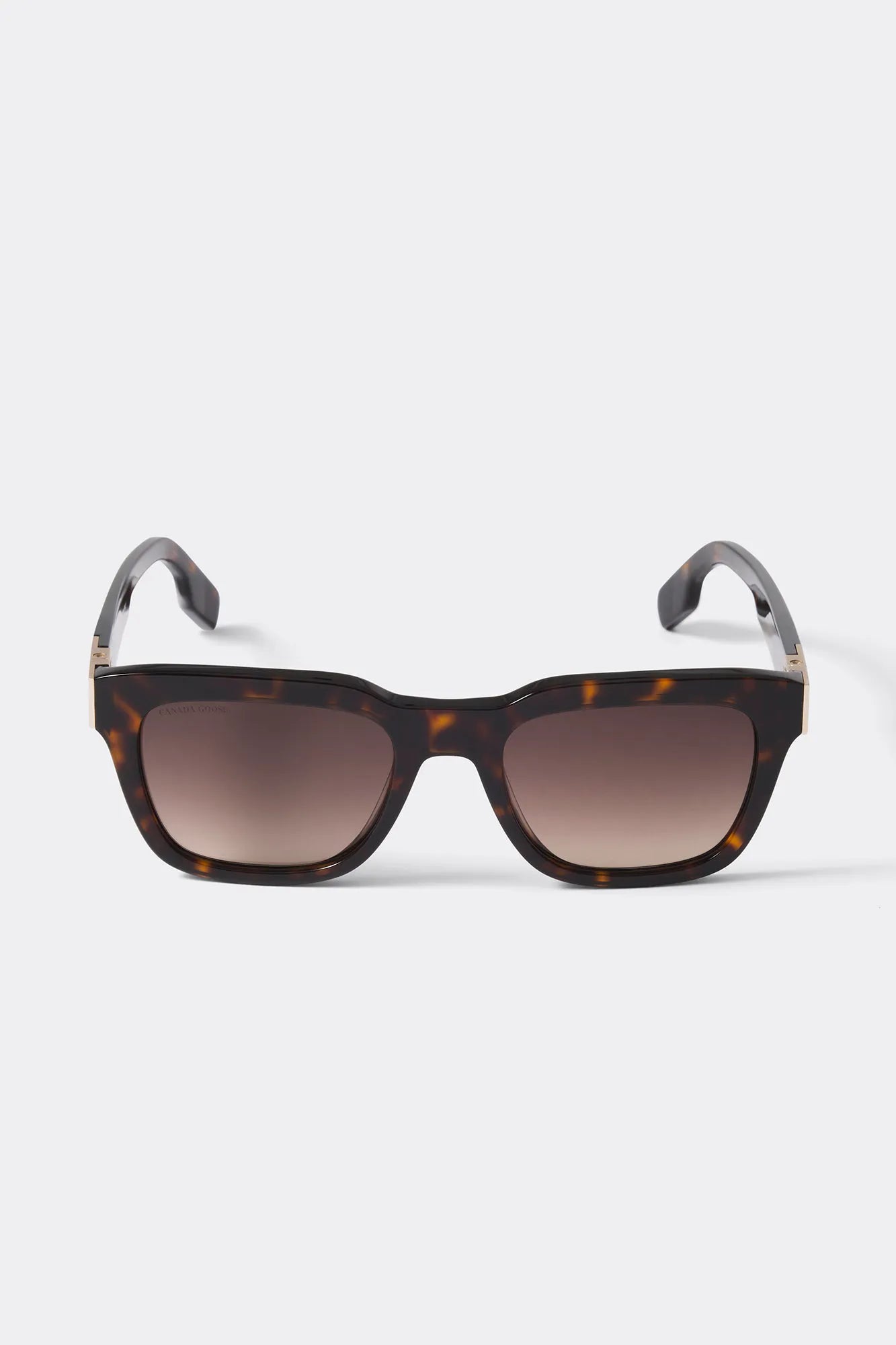 DK HAVANA/GRADIENT BRW
