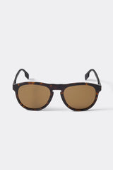 DARK HAVANA/BROWN