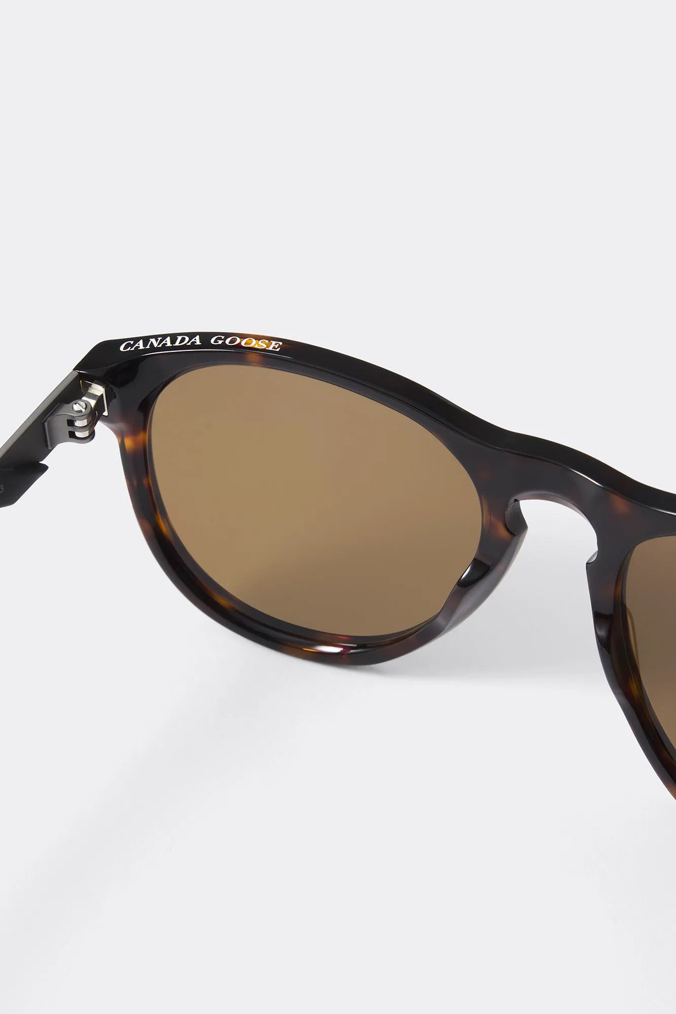 DARK HAVANA/BROWN
