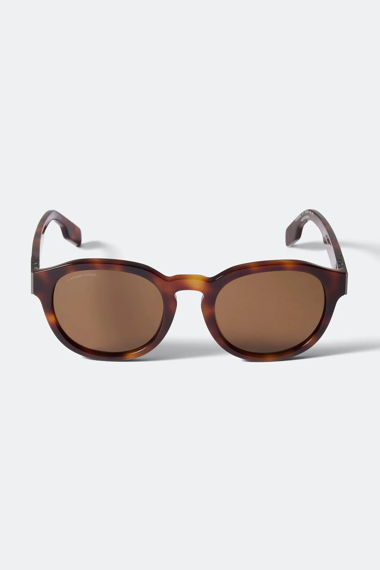 HAVANA/BROWN