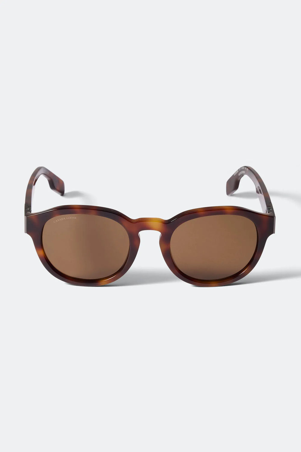 HAVANA/BROWN