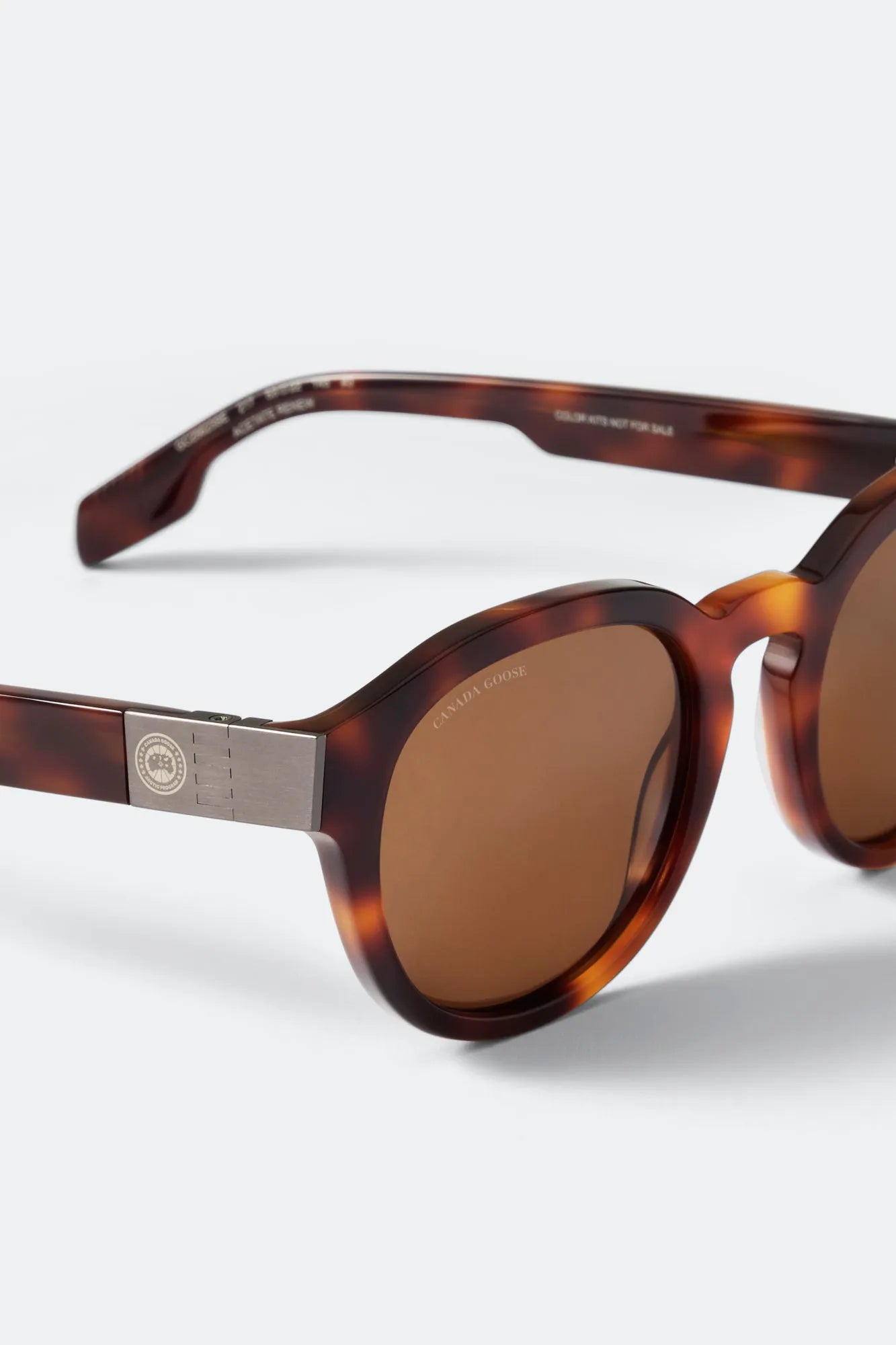 HAVANA/BROWN
