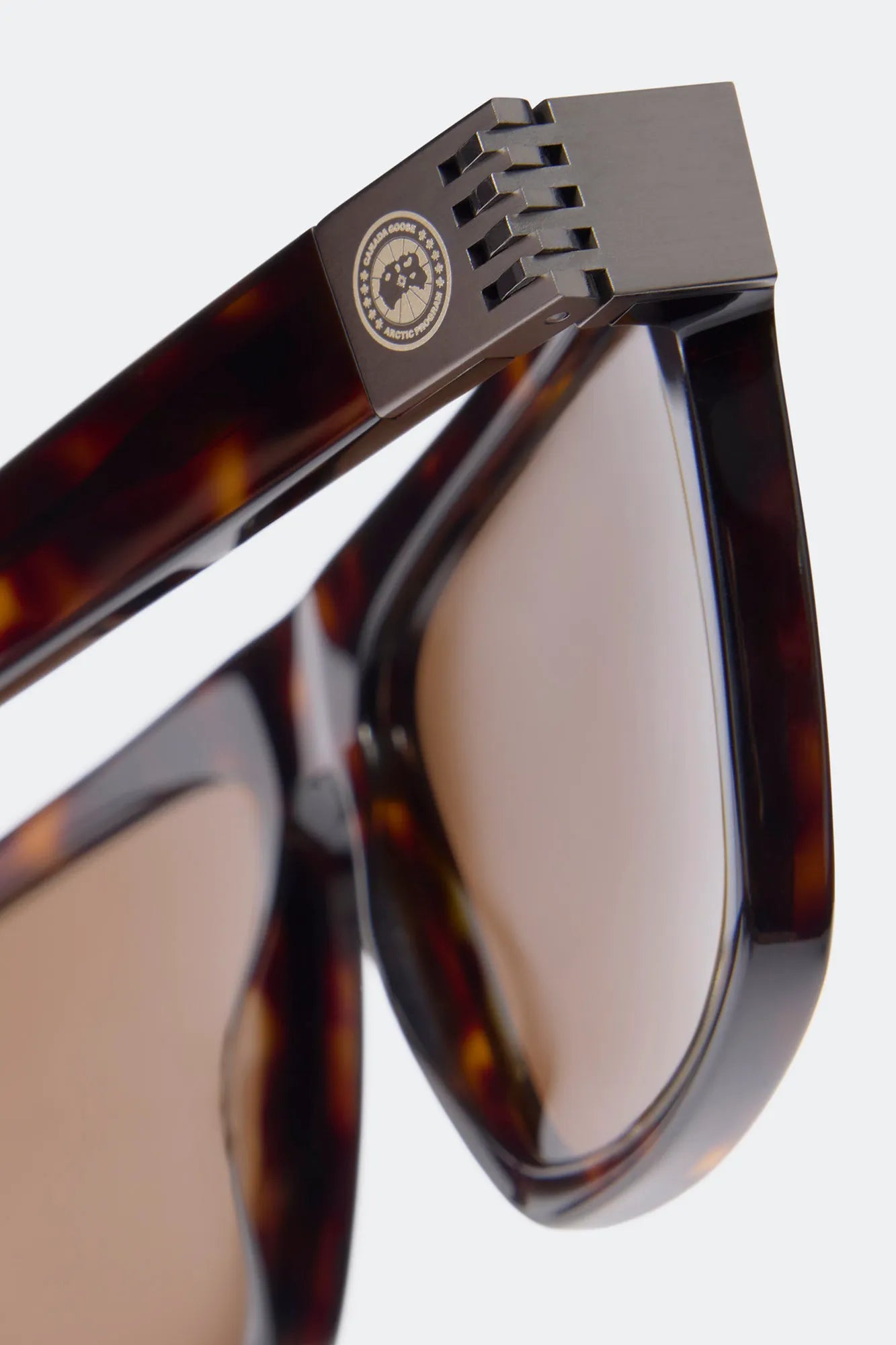 DARK HAVANA/BROWN